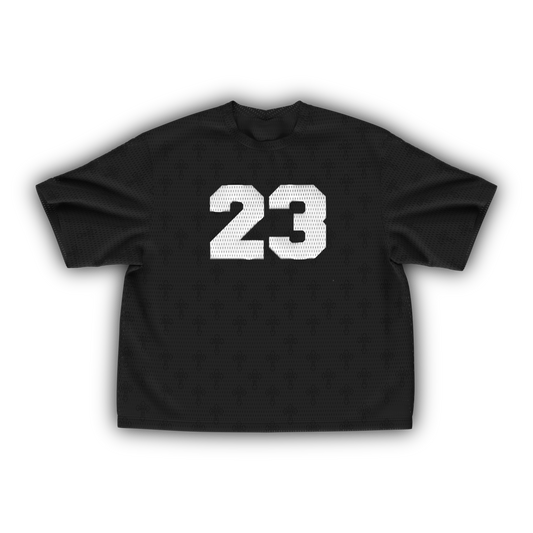 23 Mesh Jersey 2 colors)
