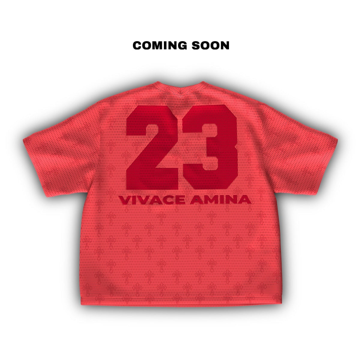 23 Mesh Jersey 2 colors)