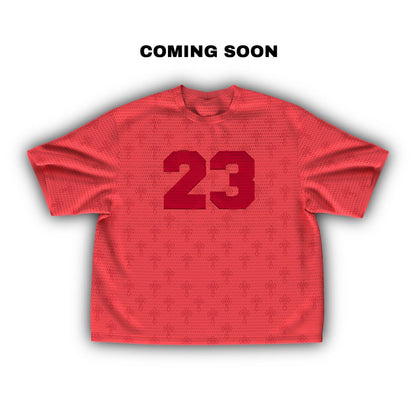 23 Mesh Jersey 2 colors)