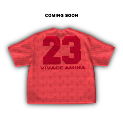 23 Mesh Jersey 2 colors)